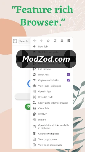 1DM Mod APK SS 1