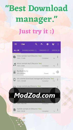 1DM Mod APK SS 2