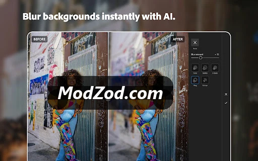 Lightroom Mod APK SS 2