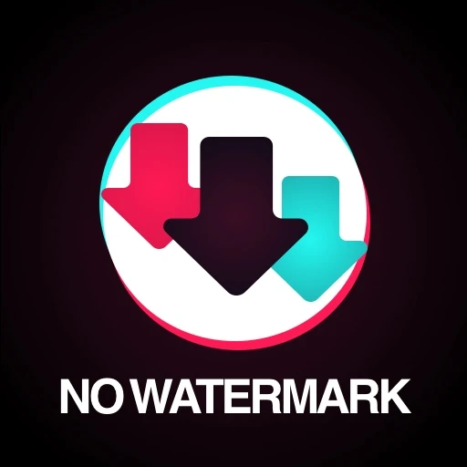 Snaptik -Download Video Tiktok Mod Apk